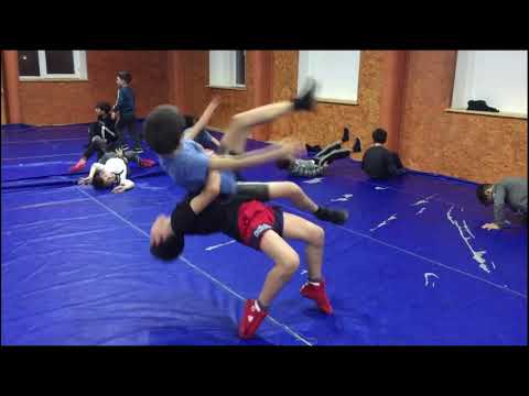 ზვანელები/zvanelebi