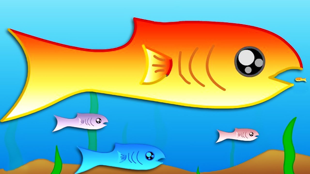 FISHY - YouTube