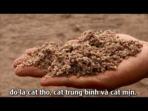 Video: Cát topping dùng để làm gì?