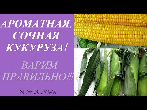 Как Сварить Кукурузу Мягкой, Сочной И Ароматной За 30 Минут! Irina Zhukova