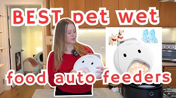 I tested the best wet pet food auto feeders so you don’t have to