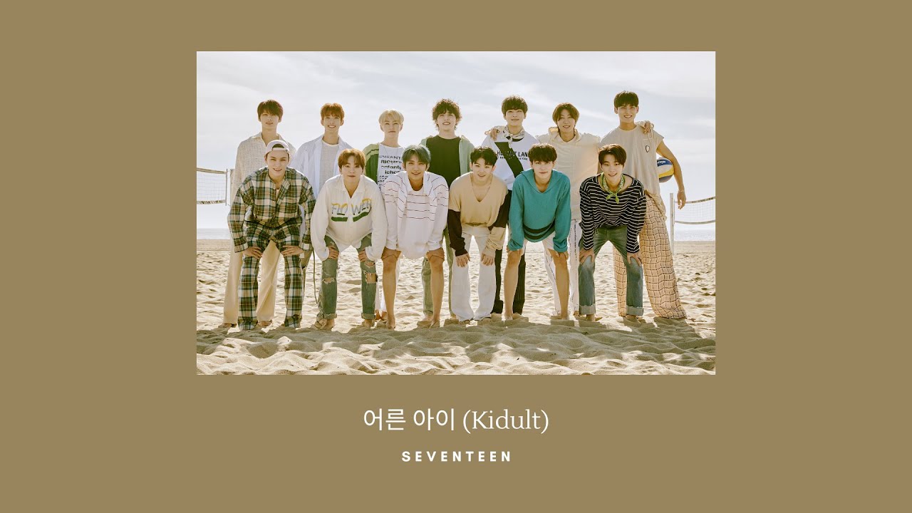 seventeen soft sad playlist 2022 (study, chill, sleep)