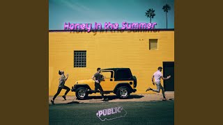 Video thumbnail of "PUBLIC - Honey In The Summer"