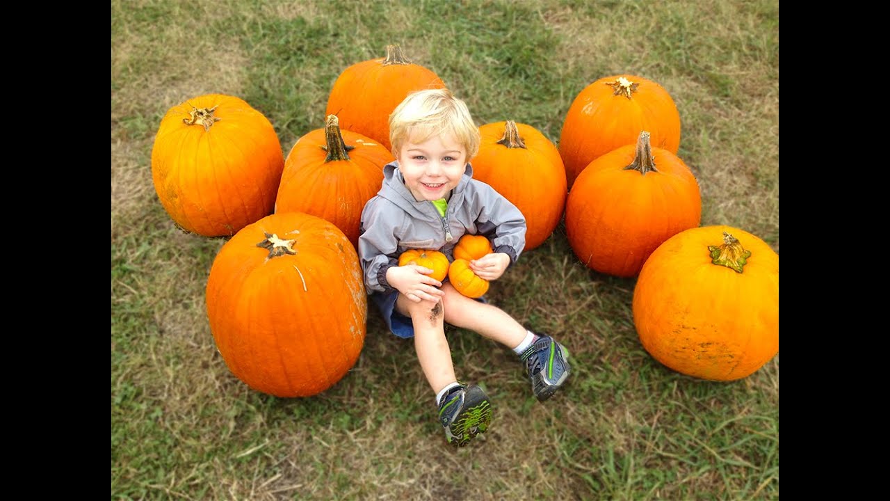TULSA: How to Take Pumpkin Patch Pictures With a Cell Phone