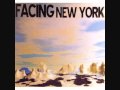 Facing New York- Javelina