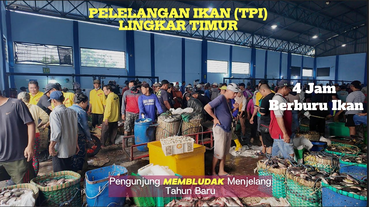 Pengunjung Membludak Parah!! Menjelang Tahun Baru 4 Jam Berburu Ikan Di TPI Lingkar Timur.