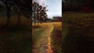 music visualizer #ambientmusic  #visualizer #shorts #cannabis #music #simulation