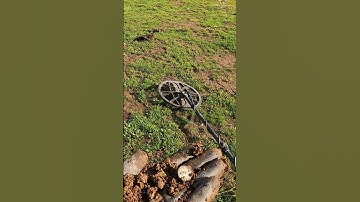 Minelab MANTICORE STRIKES SILVER! #metaldetecting #minelab #short