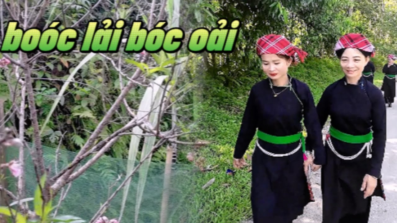 boóc lải bóc oải