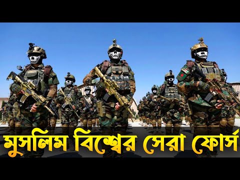 ভিডিও: আনাতোলি সারদিউকভ 