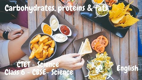 CTET Science | Class 6 CBSE Science | Carbohydrates, Fats & Proteins | Components of Food | English