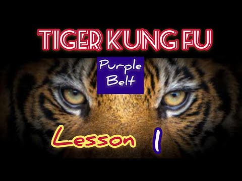 learning kung fu at small space / tiger kung fu lesson 1 / 虎拳第一课