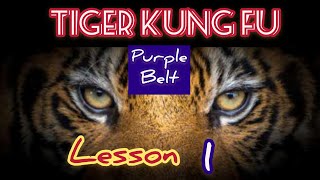 learning kung fu at small space / tiger kung fu lesson 1 / 虎拳第一课 screenshot 5