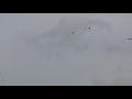 Полеты  голубей и нападение сапсана 29  01 2021 г ч4