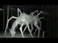 Real Cryptids Caught On Camera For The First Time