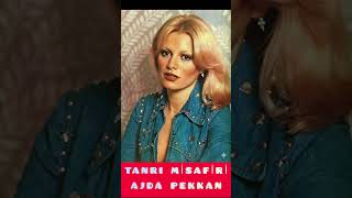 AJDA PEKKAN - TANRI MİSAFİRİ ( 1975 ) #nostalji #plakkolleksiyonu #müzik #music #shorts #shortvideo 