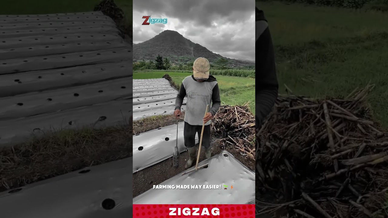 Simple & Precise Hand Tools for Making Planting Holes in Plastic Mulch Fields