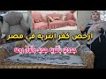 أرخص كفر انتريه جاهز غيري شكل الانتريه والركنة و تعرفي علي أفضل انواع كسوة الانتريهات