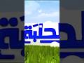 Halaba TV Ident 2012 2015 Halaba TV Ident 2012 2015