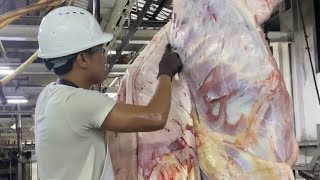 Dumaguete City Slaughterhouse Cattle Operation