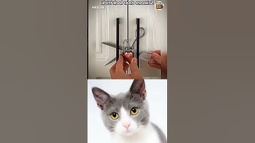 #jumpstyle #actingchallenge #highsandlows #filterchallenge #reelschallenge #memeedit