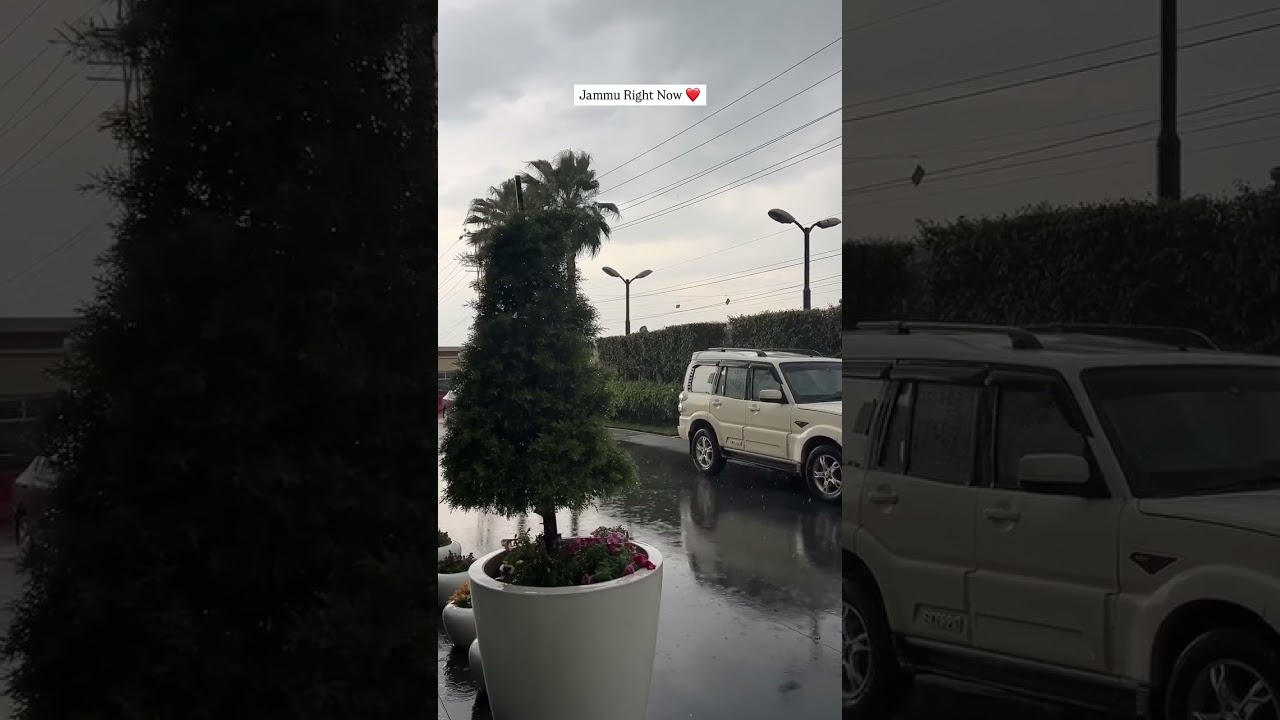 Rainfall in Jammu City 🌧️ 