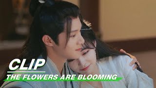 Clip: Li Will Be The One Who Loves Chen The Most | The Flowers Are Blooming EP19 | 清风朗月花正开 | iQiyi