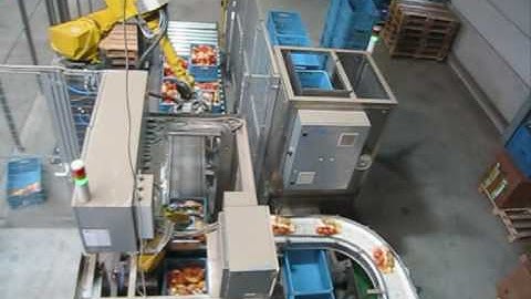 Robotic Pick and Place Palletising End of Line Automation - Fanuc Robots
