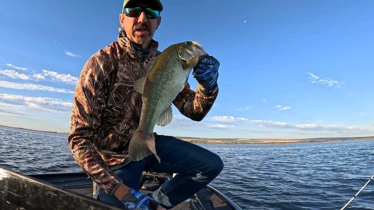 Potholes Reservoir bass fishing in July