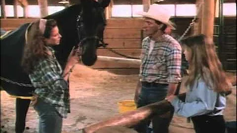 Dark Horse Trailer 1992 - DayDayNews