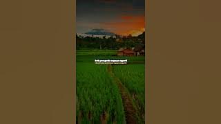 Story wa sholawat Jawa viral di tik tok || Story wa Jawa kekinian || story wa literasi || #part348