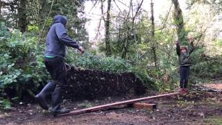 Dad of the Year!  Teeter Totter Fail