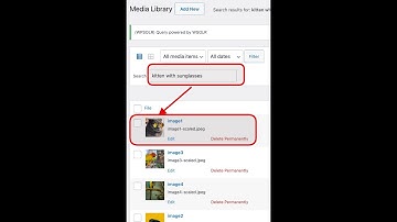 Search in WordPress media images with Weaviate multi2vec-clip vector image search  (WPSOLR plugin)