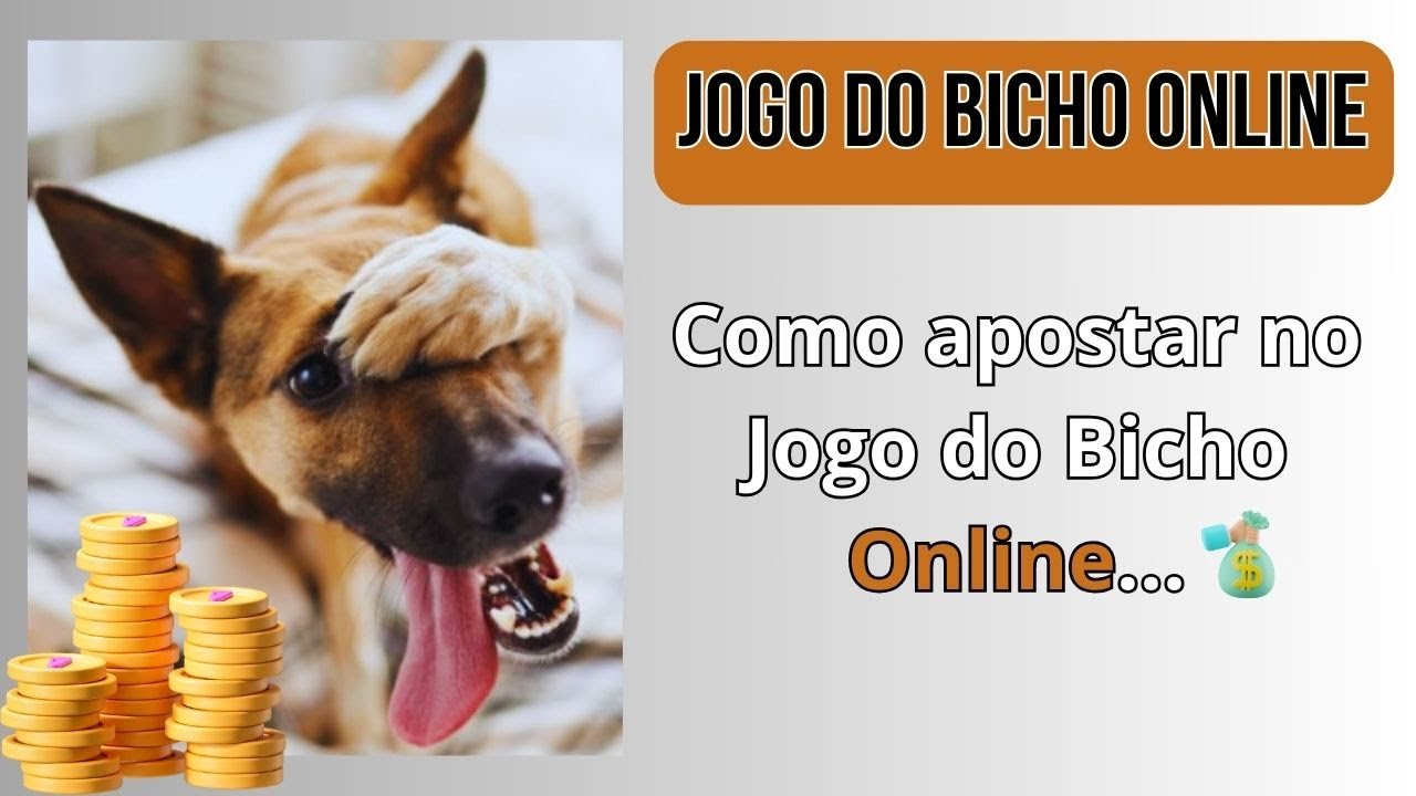 Como apostar no Jogo do Bicho Online - YouTube