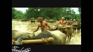 Siri Parakum song kale hadena kiri madu wal (Sandesh Bandara you tube channel)