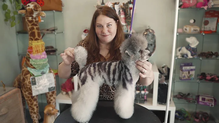Creative Dog Grooming w/ Deb Compton