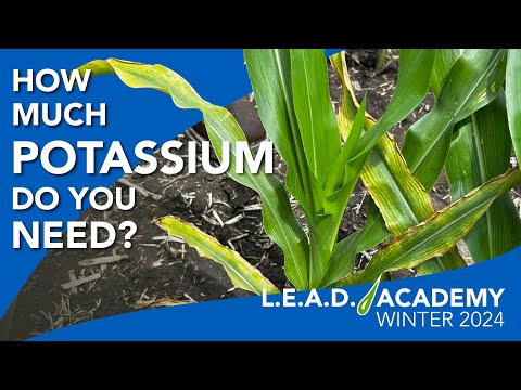 Intentionally Applying Potassium