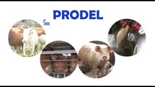Présentation du PRODEL