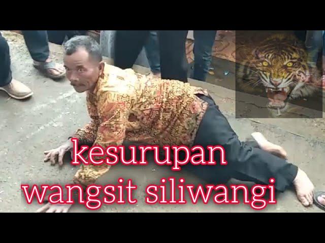 Tradisi Kesurupan Lagu Buhun Wangsit Siliwangi || live show @ Cijengkol Cikoneng Sumedang class=