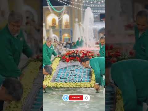 امام الرحمه یا رسول الله ص