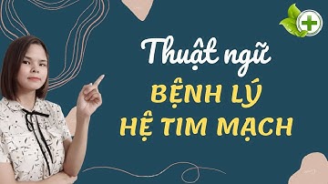 Khóa Học Tiếng Anh Y Khoa Cơ Bản| THUẬT NGỮ Y KHOA VỀ BỆNH LÝ HỆ TIM MẠCH| Medical English Sharing