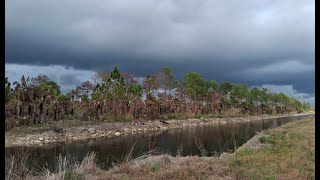 Cold Front in the Everglades - Picayune Strand and Golden Gate FL