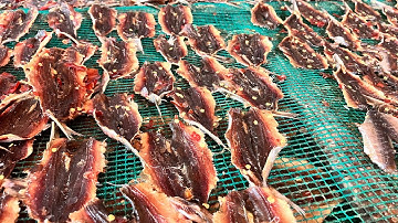 Cá Trích, Cá Chỉ Vàng Lh0936396450