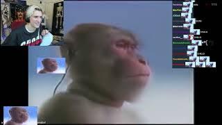 xQc Discovers Guts Theme From Berserk