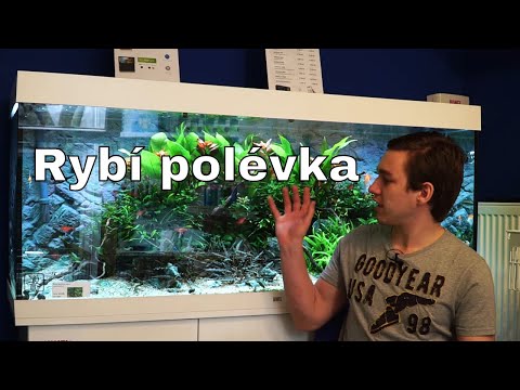 Video: Ryby Pro Malé Akvárium: Jak Si Vybrat