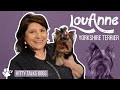 Kitty Talks Dogs: grooming Lou-anne the Yorkshire Terrier | TRANSGROOM