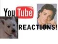 Youtube reactions