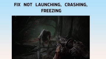 How to Fix Scorn Not Launching, Crashing, or Freezing