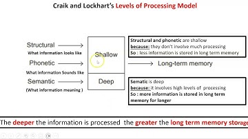 Craik and Lockharts levels of processing