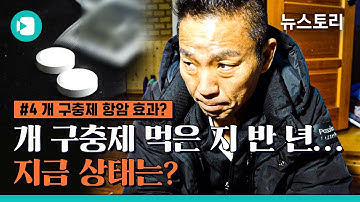 암 환자들의 마지막 희망이 된 구충제...무모한 선택일까? / 비디오머그 X 뉴스토리